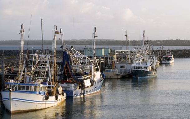 Supermarkets to source sustainable fish